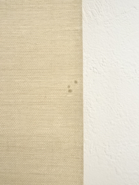 田中案山子/笹に鳥　肉筆　掛軸 田中案山子/笹に鳥 肉筆 掛軸 - メルカリ